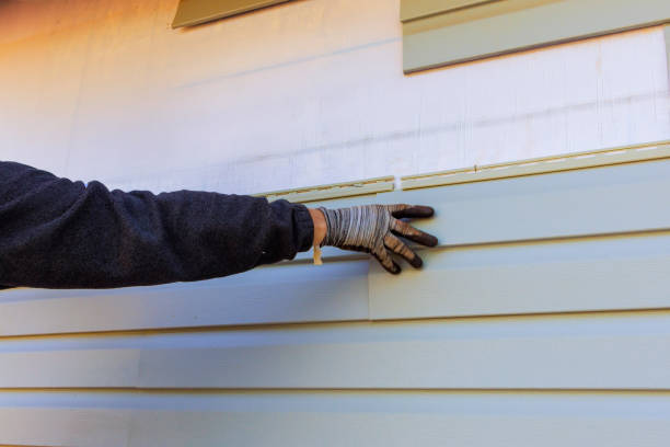 Best Historical Building Siding Restoration  in Roselle, NJ